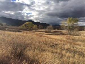 img_9119
